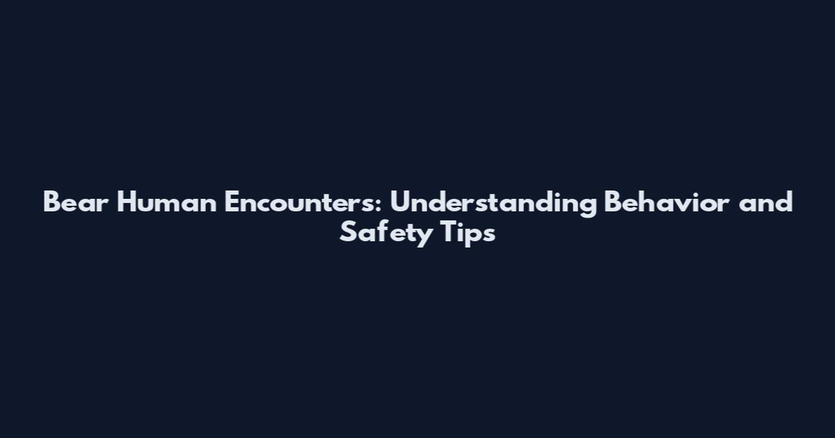Bear Human Encounters: Understanding Behavior and Safety Tips
