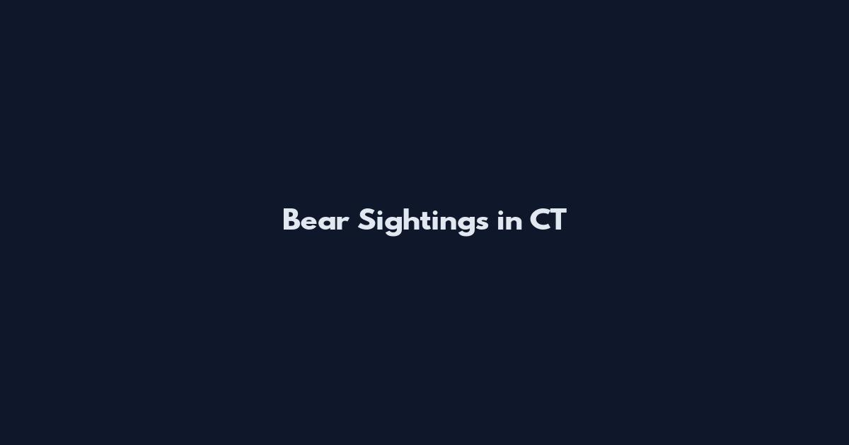 Bear Sightings in CT