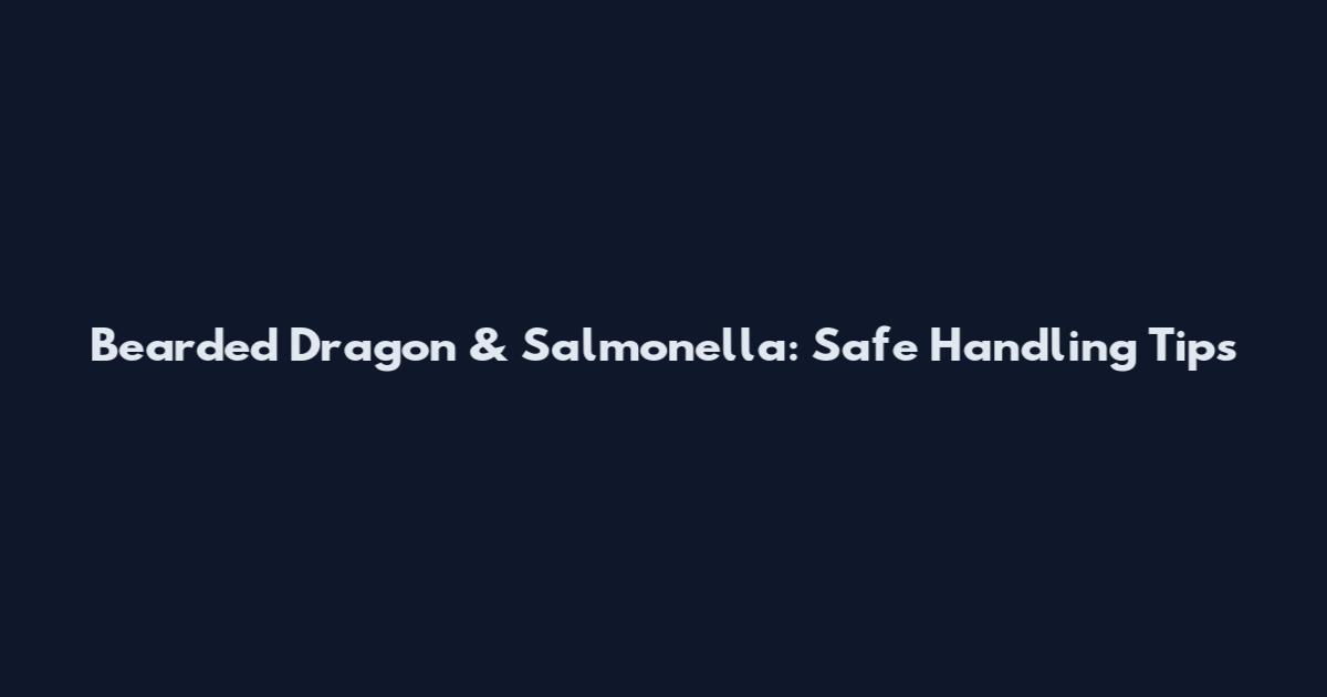 Bearded Dragon & Salmonella: Safe Handling Tips