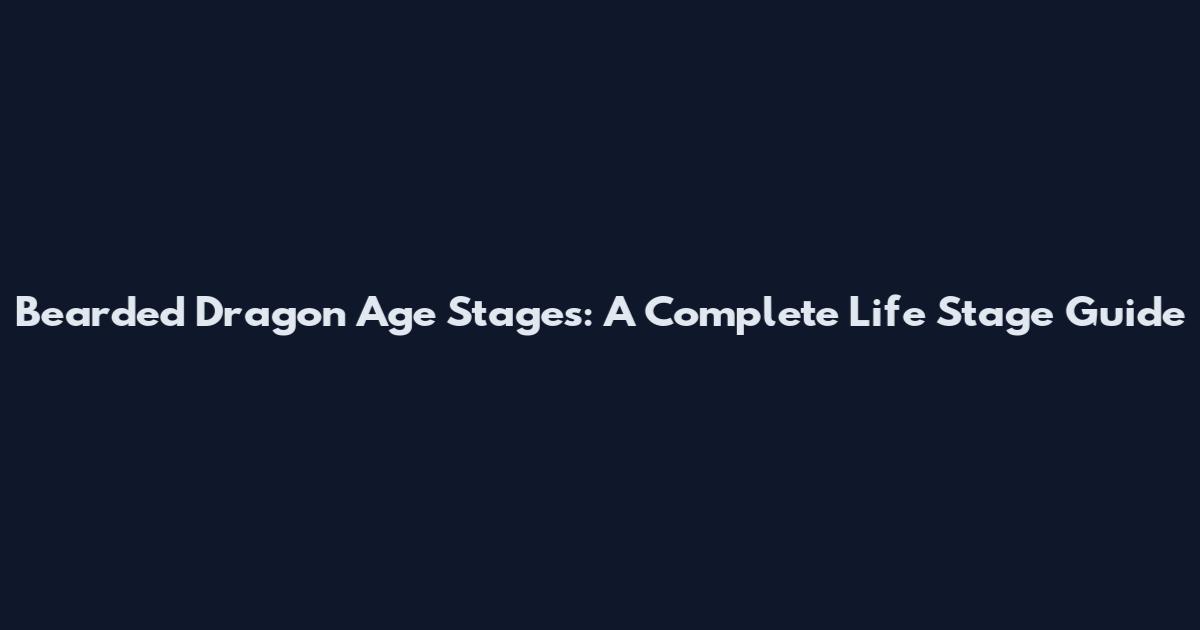 Bearded Dragon Age Stages: A Complete Life Stage Guide
