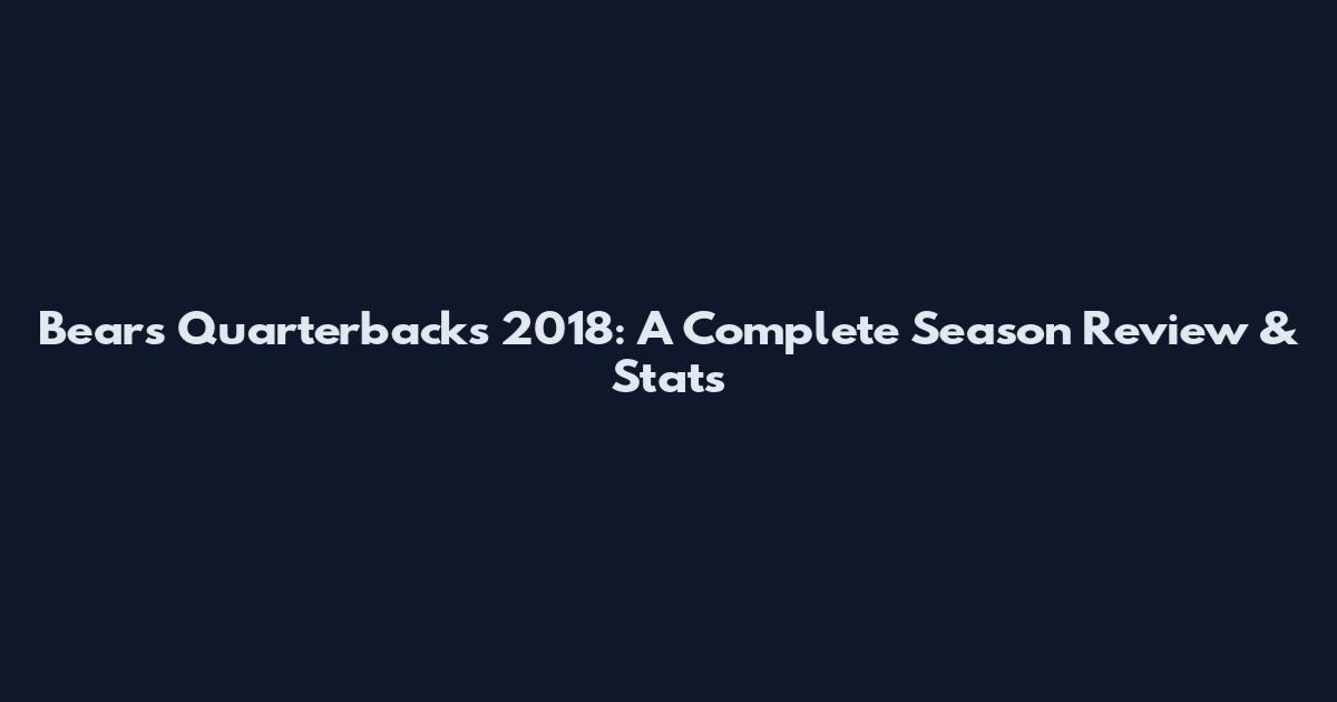 Bears Quarterbacks 2018: A Complete Season Review & Stats