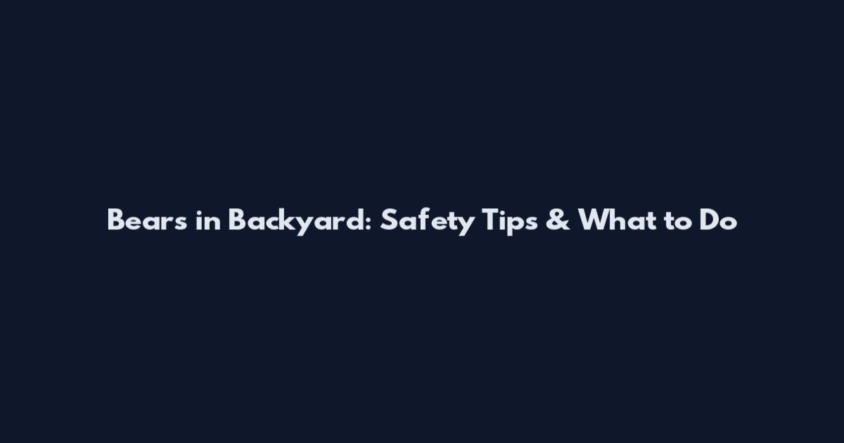 Bears in Backyard: Safety Tips & What to Do