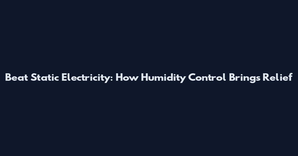 Beat Static Electricity: How Humidity Control Brings Relief