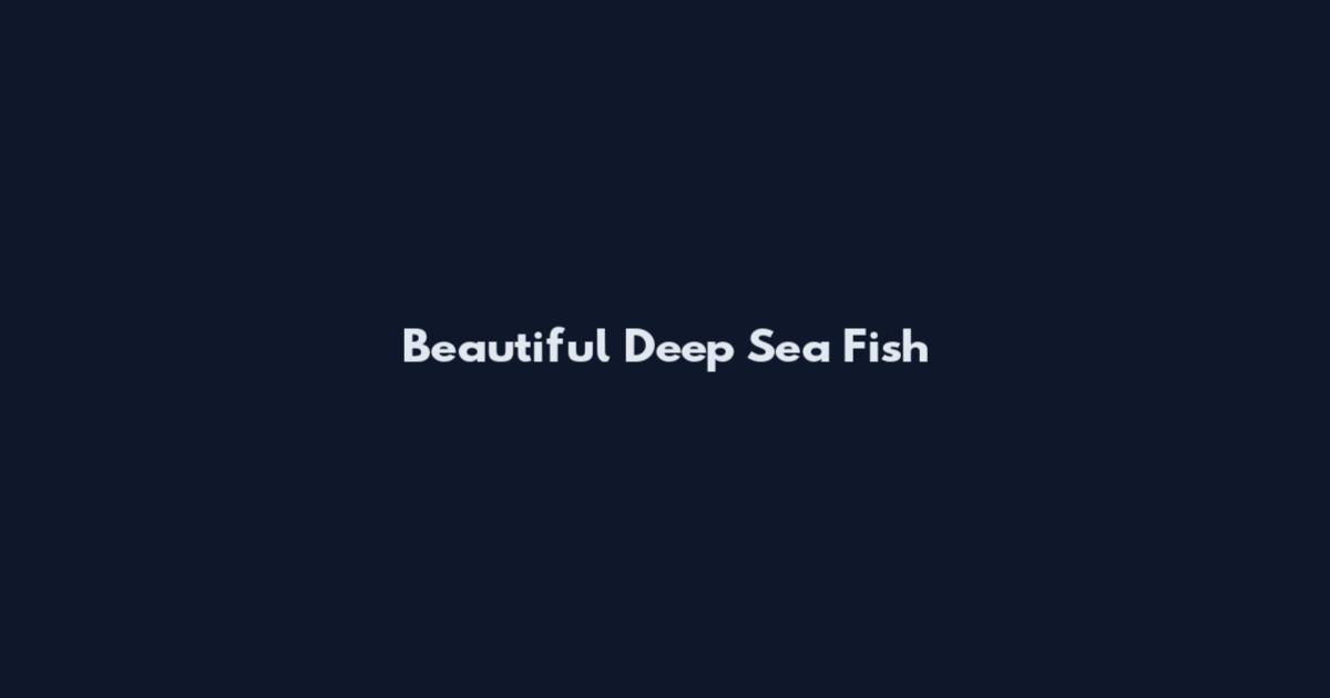 Beautiful Deep Sea Fish