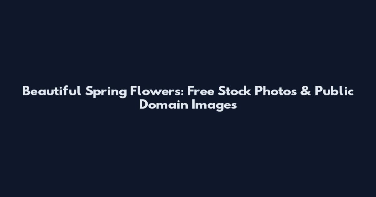 Beautiful Spring Flowers: Free Stock Photos & Public Domain Images