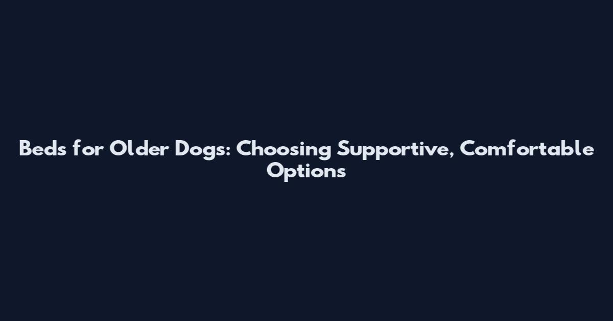 Beds for Older Dogs: Choosing Supportive, Comfortable Options