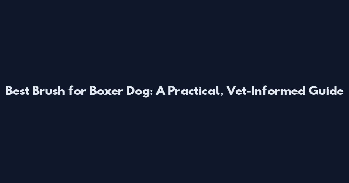 Best Brush for Boxer Dog: A Practical, Vet-Informed Guide
