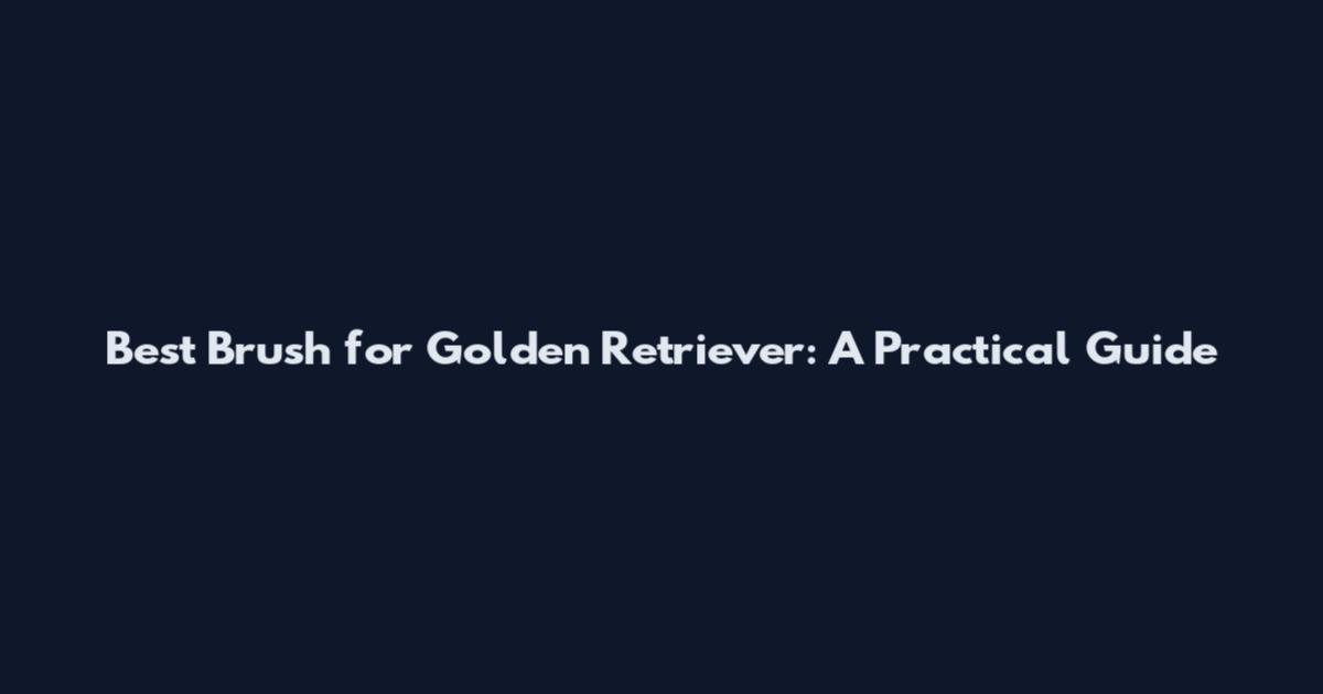 Best Brush for Golden Retriever: A Practical Guide