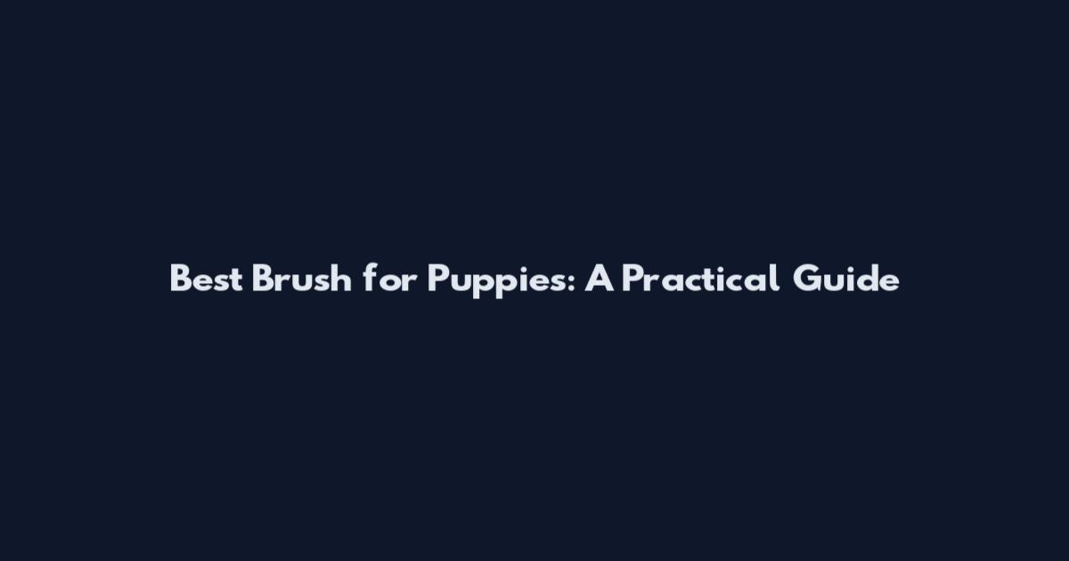 Best Brush for Puppies: A Practical Guide