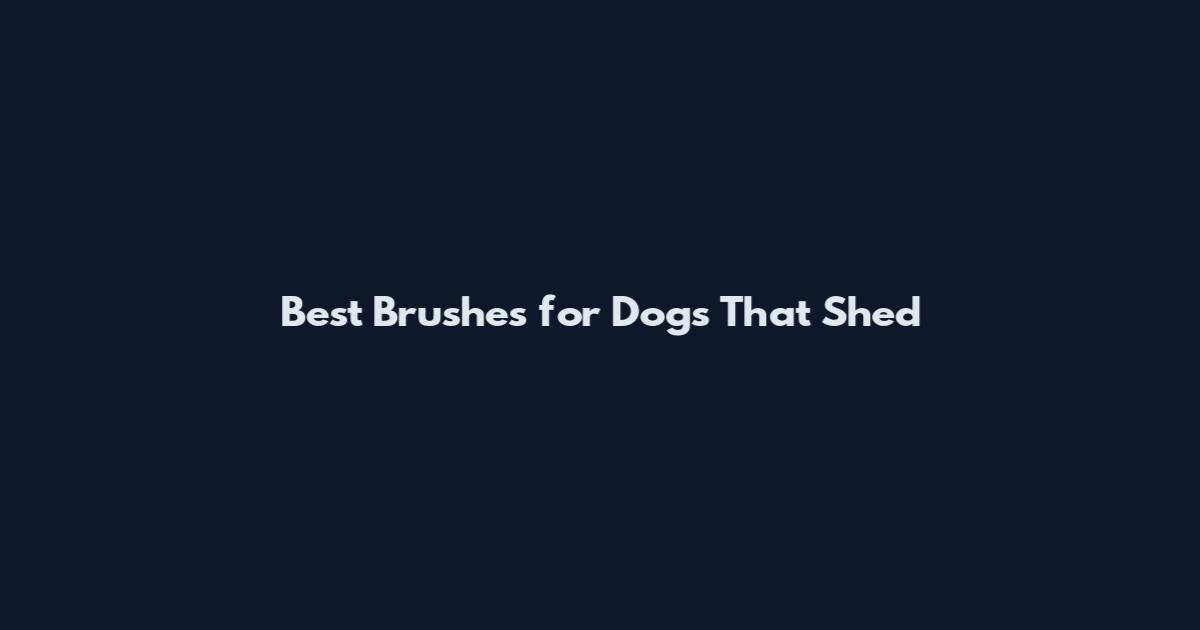 Best Brushes for Dogs That Shed