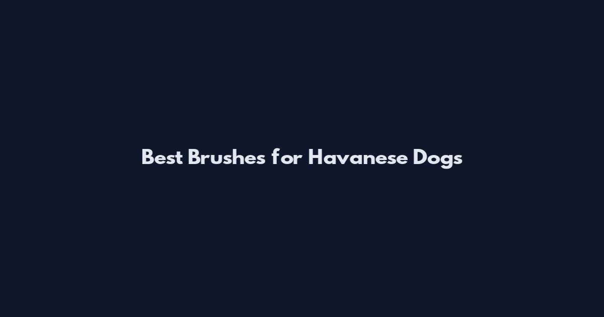 Best Brushes for Havanese Dogs