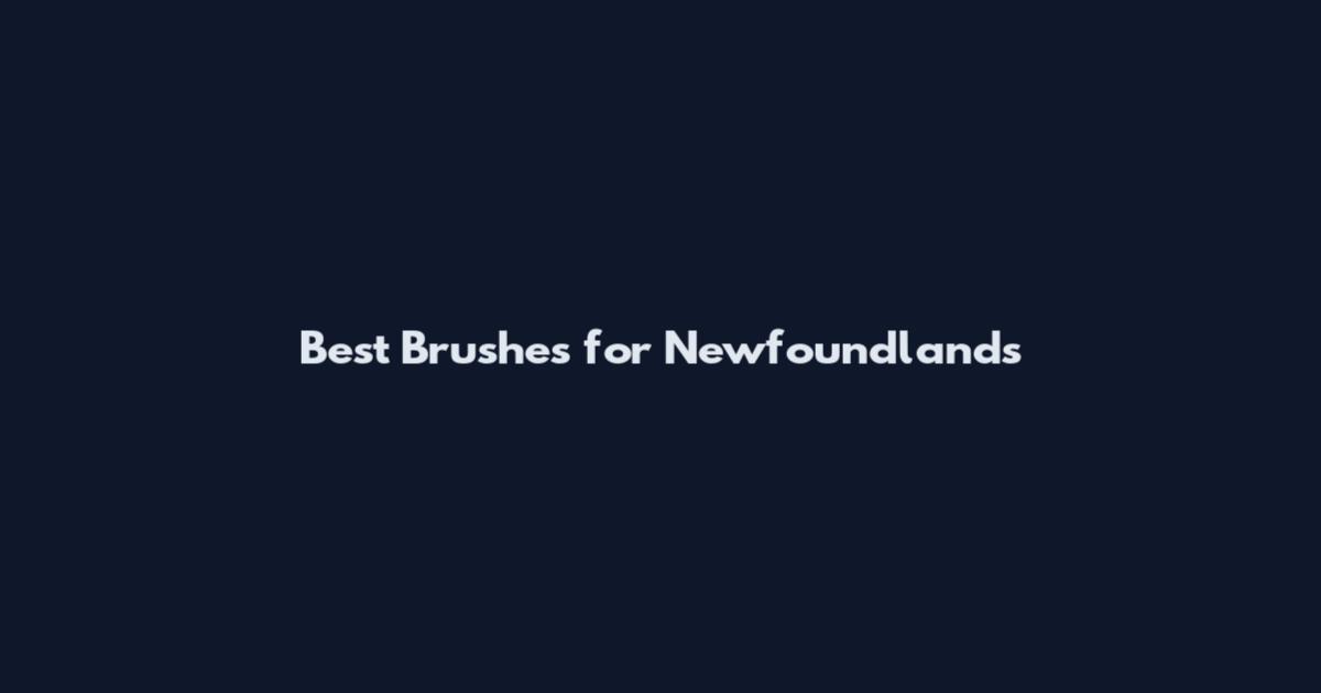 Best Brushes for Newfoundlands