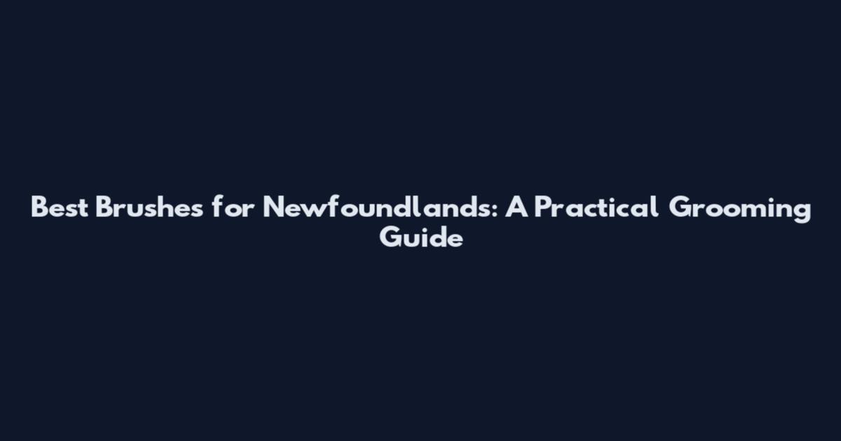 Best Brushes for Newfoundlands: A Practical Grooming Guide