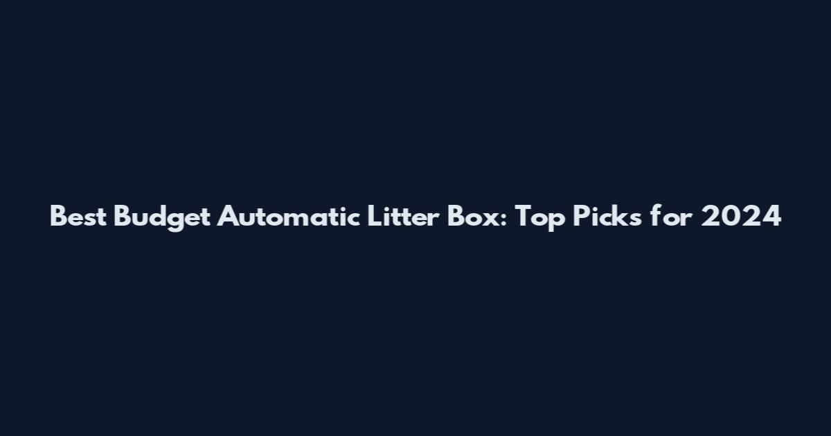 Best Budget Automatic Litter Box: Top Picks for 2024