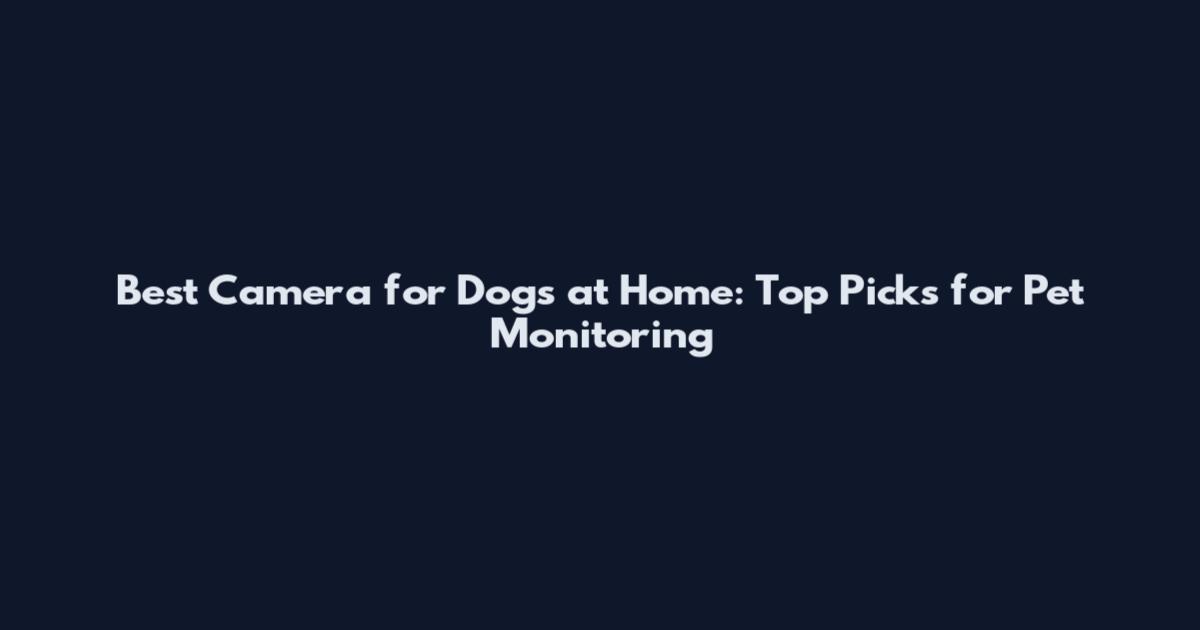 Best Camera for Dogs at Home: Top Picks for Pet Monitoring
