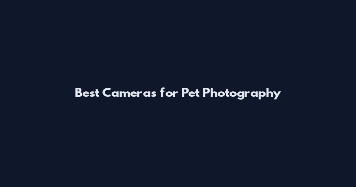 Best Cameras for Pet Photography