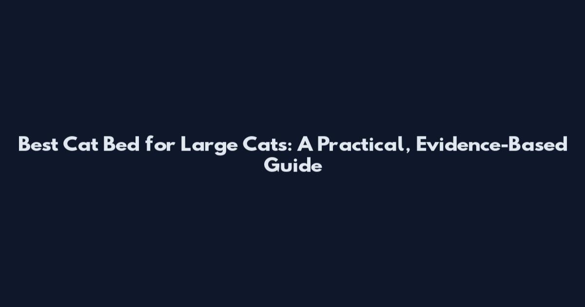 Best Cat Bed for Large Cats: A Practical, Evidence-Based Guide