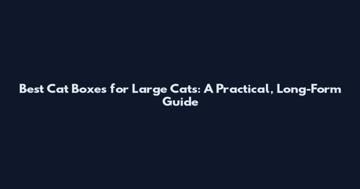 Best Cat Boxes for Large Cats: A Practical, Long-Form Guide