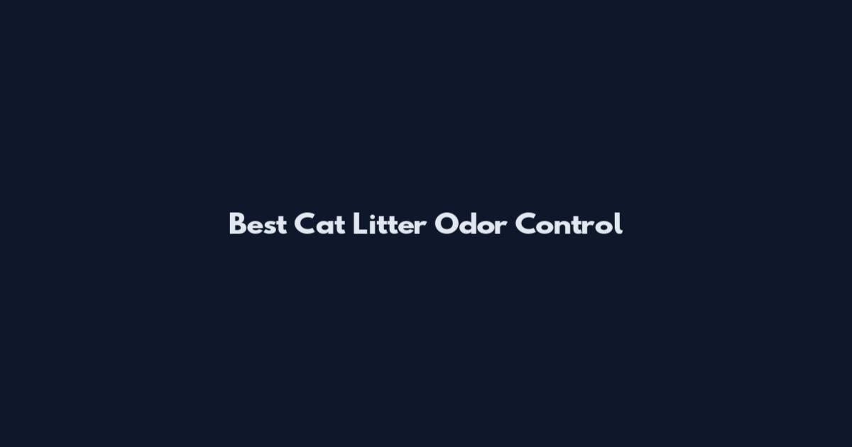 Best Cat Litter Odor Control