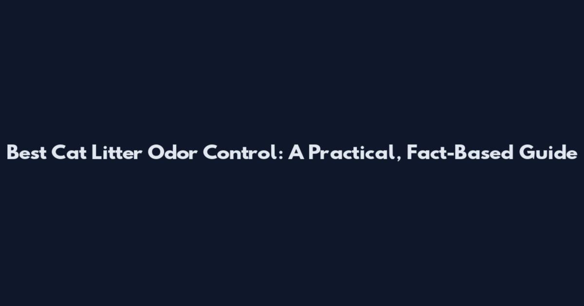 Best Cat Litter Odor Control: A Practical, Fact-Based Guide