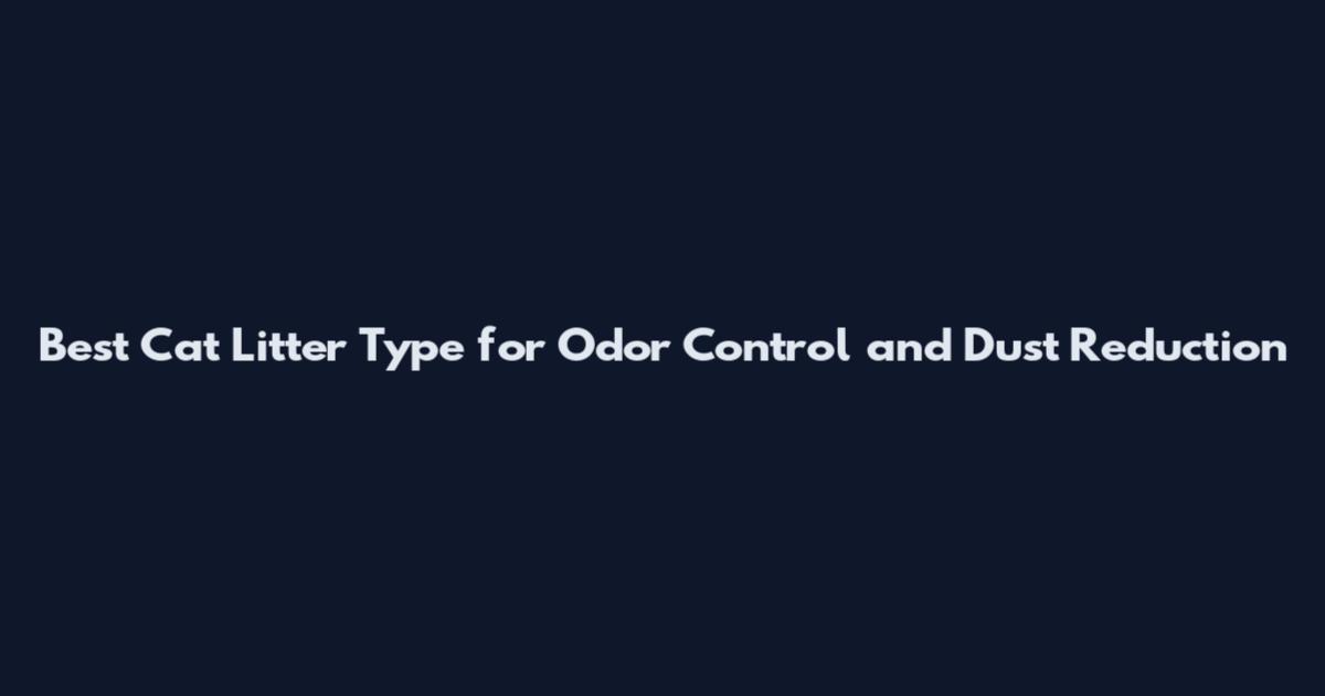 Best Cat Litter Type for Odor Control and Dust Reduction