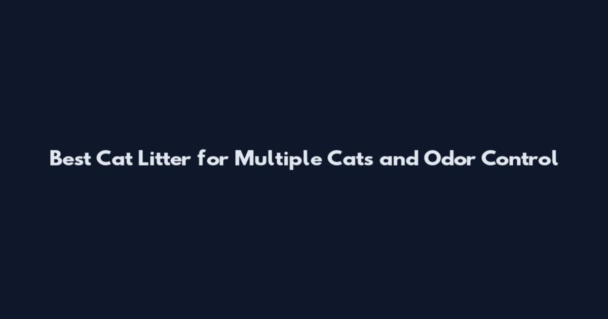 Best Cat Litter for Multiple Cats and Odor Control