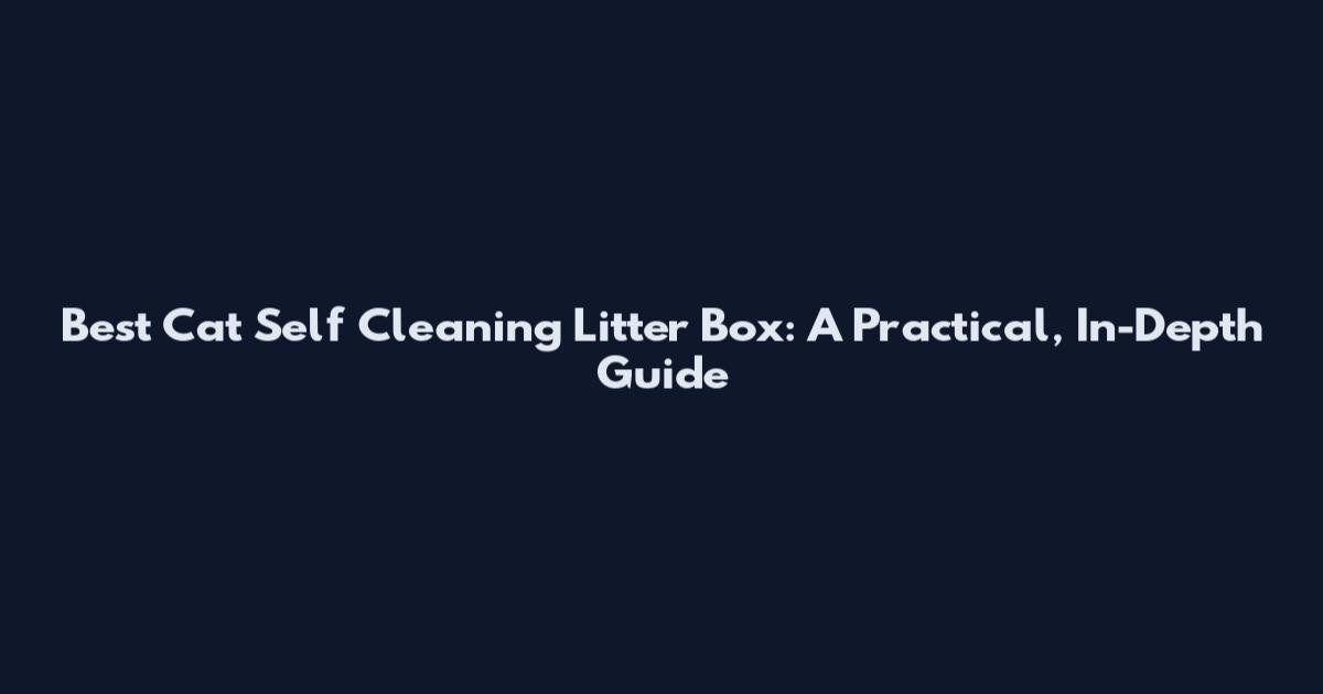 Best Cat Self Cleaning Litter Box: A Practical, In-Depth Guide