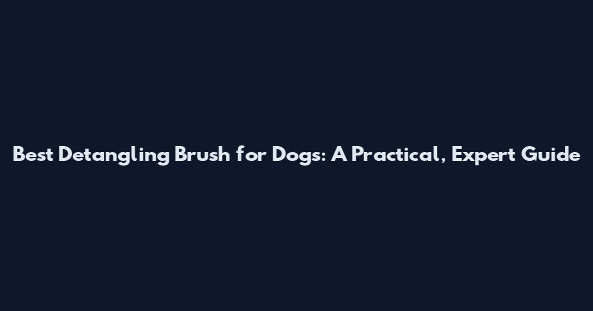 Best Detangling Brush for Dogs: A Practical, Expert Guide