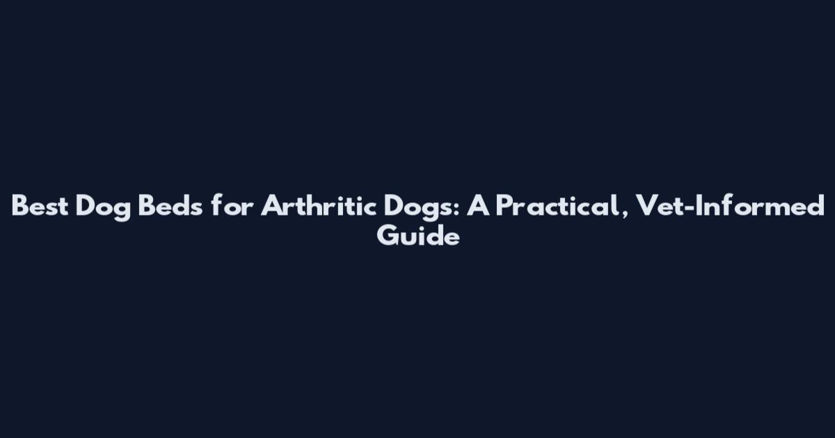 Best Dog Beds for Arthritic Dogs: A Practical, Vet-Informed Guide