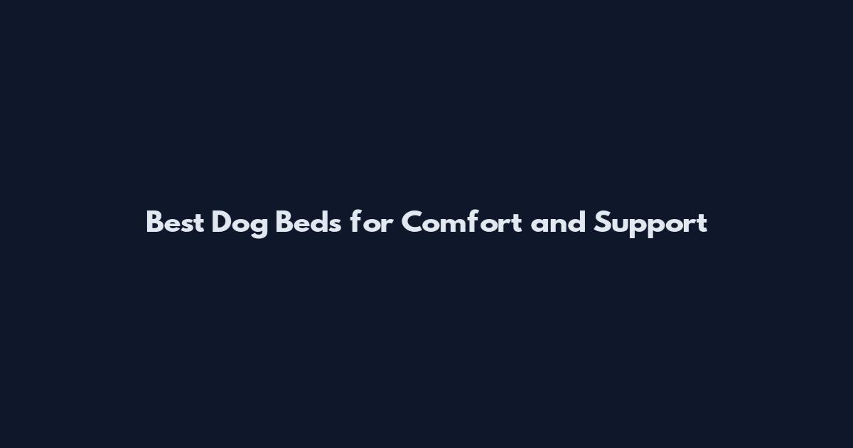 Best Dog Beds for Comfort and Support
