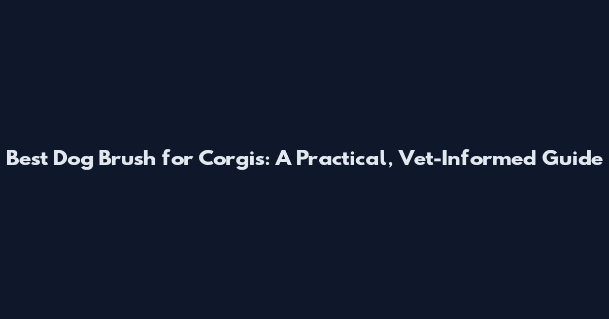 Best Dog Brush for Corgis: A Practical, Vet-Informed Guide