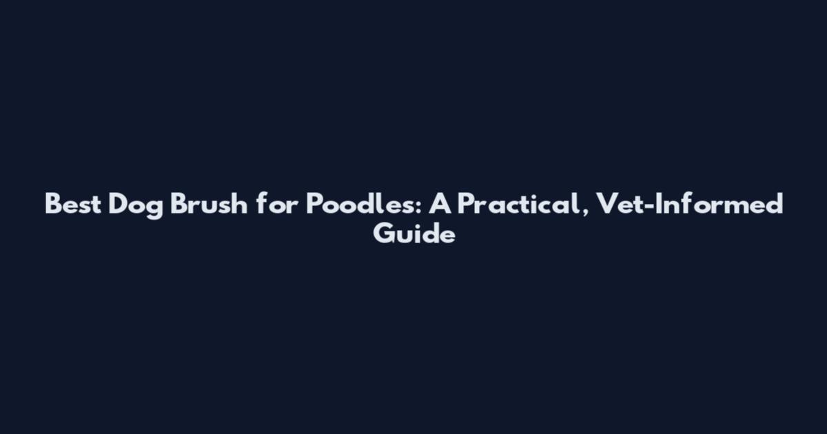 Best Dog Brush for Poodles: A Practical, Vet-Informed Guide