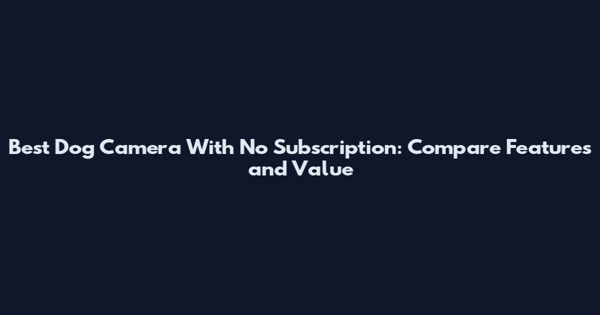 Best Dog Camera With No Subscription: Compare Features and Value