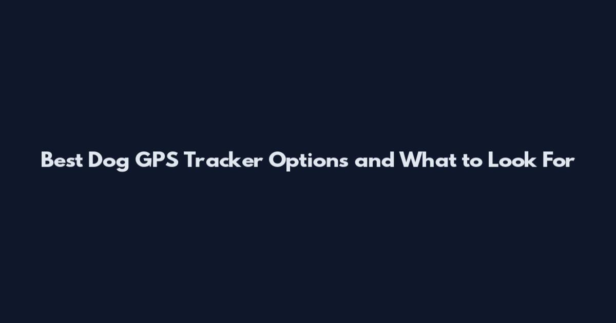 Best Dog GPS Tracker Options and What to Look For