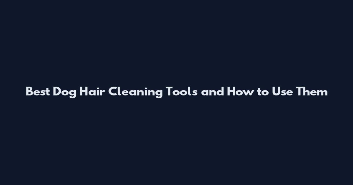 Best Dog Hair Cleaning Tools and How to Use Them