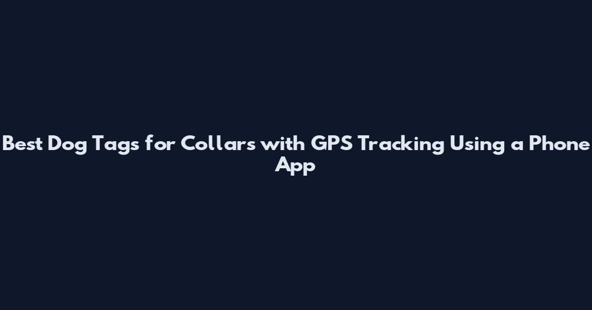 Best Dog Tags for Collars with GPS Tracking Using a Phone App