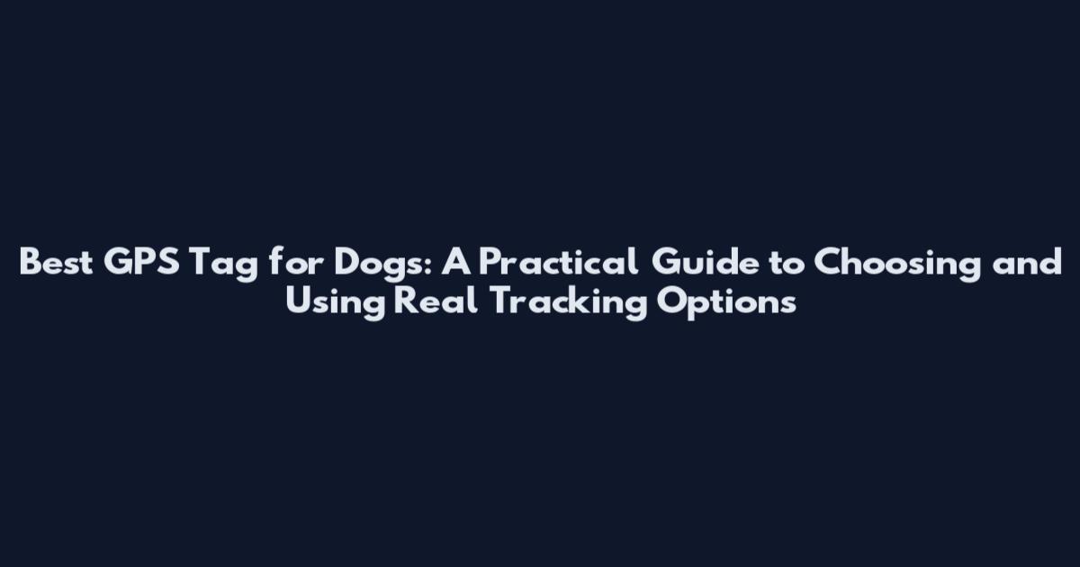 Best GPS Tag for Dogs: A Practical Guide to Choosing and Using Real Tracking Options
