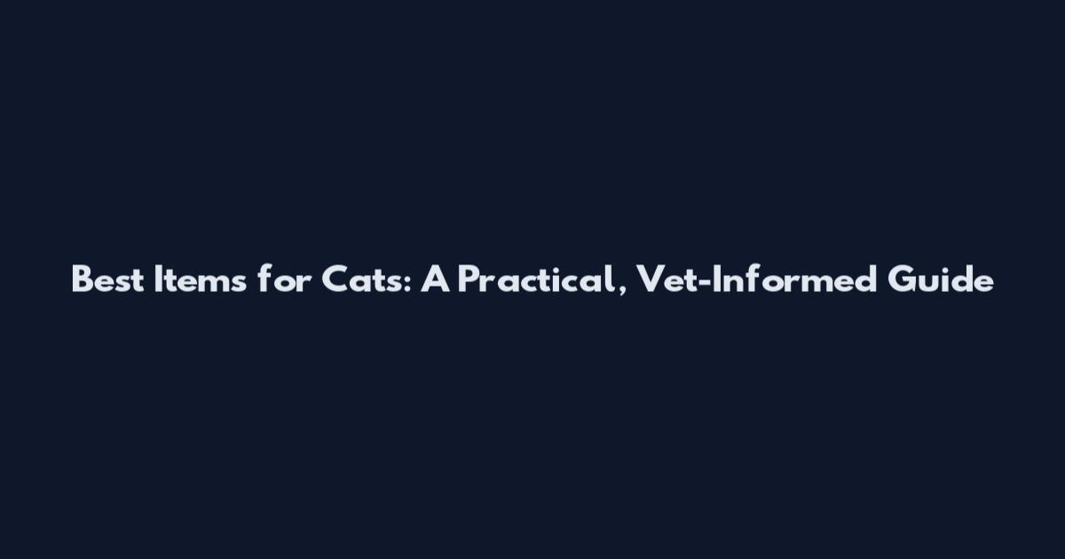 Best Items for Cats: A Practical, Vet-Informed Guide