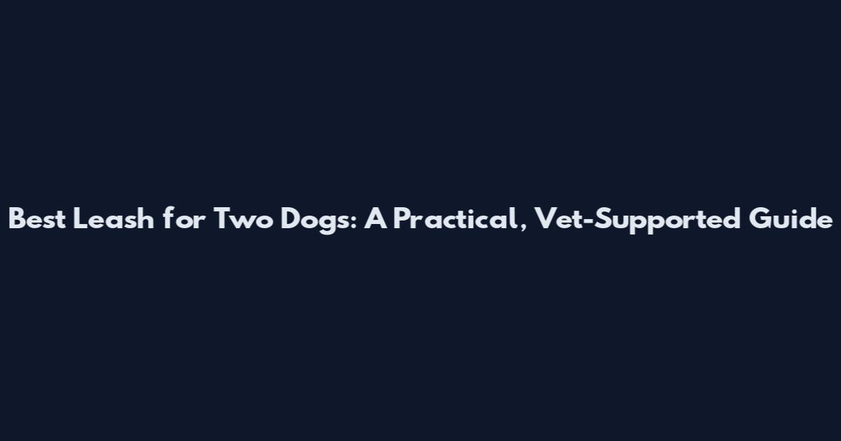 Best Leash for Two Dogs: A Practical, Vet-Supported Guide