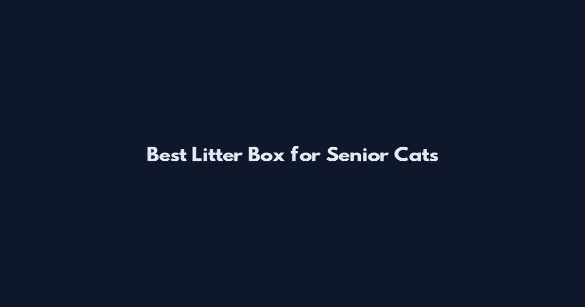 Best Litter Box for Senior Cats