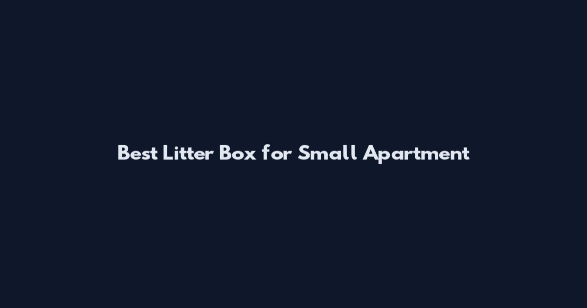 Best Litter Box for Small Apartment