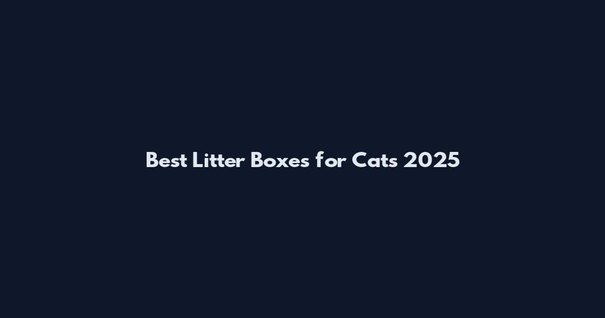 Best Litter Boxes for Cats 2025