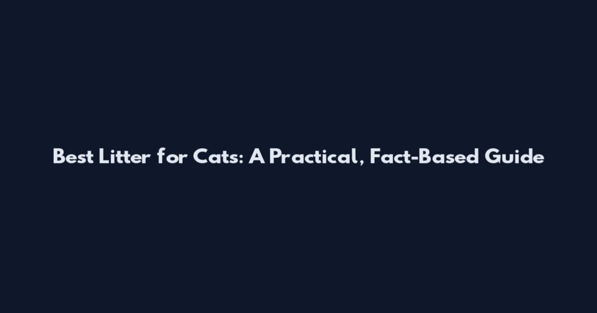 Best Litter for Cats: A Practical, Fact-Based Guide