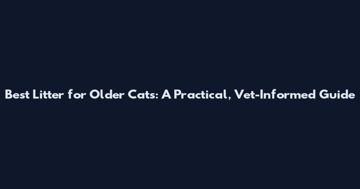 Best Litter for Older Cats: A Practical, Vet-Informed Guide