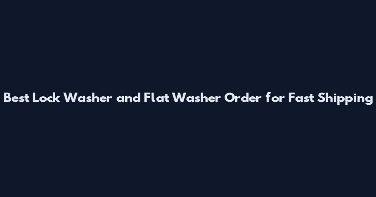 Best Lock Washer and Flat Washer Order for Fast Shipping