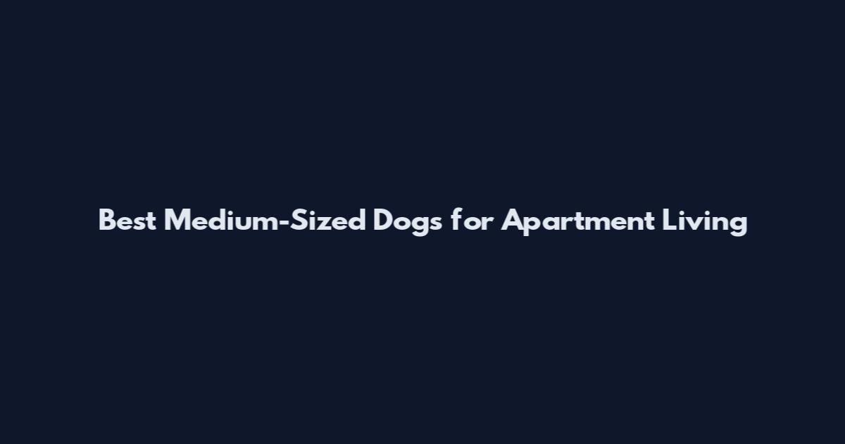 Best Medium-Sized Dogs for Apartment Living