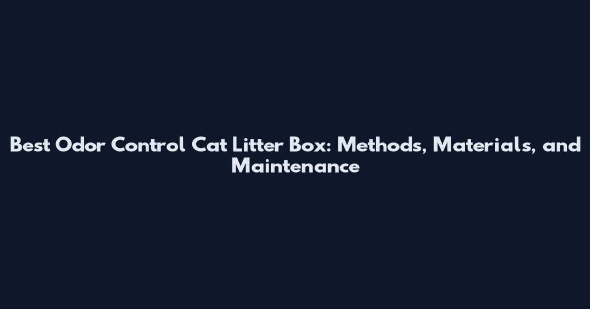 Best Odor Control Cat Litter Box: Methods, Materials, and Maintenance