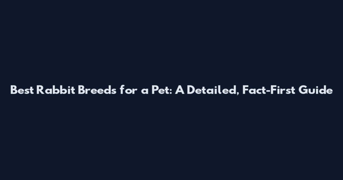 Best Rabbit Breeds for a Pet: A Detailed, Fact-First Guide