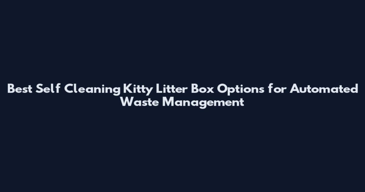 Best Self Cleaning Kitty Litter Box Options for Automated Waste Management