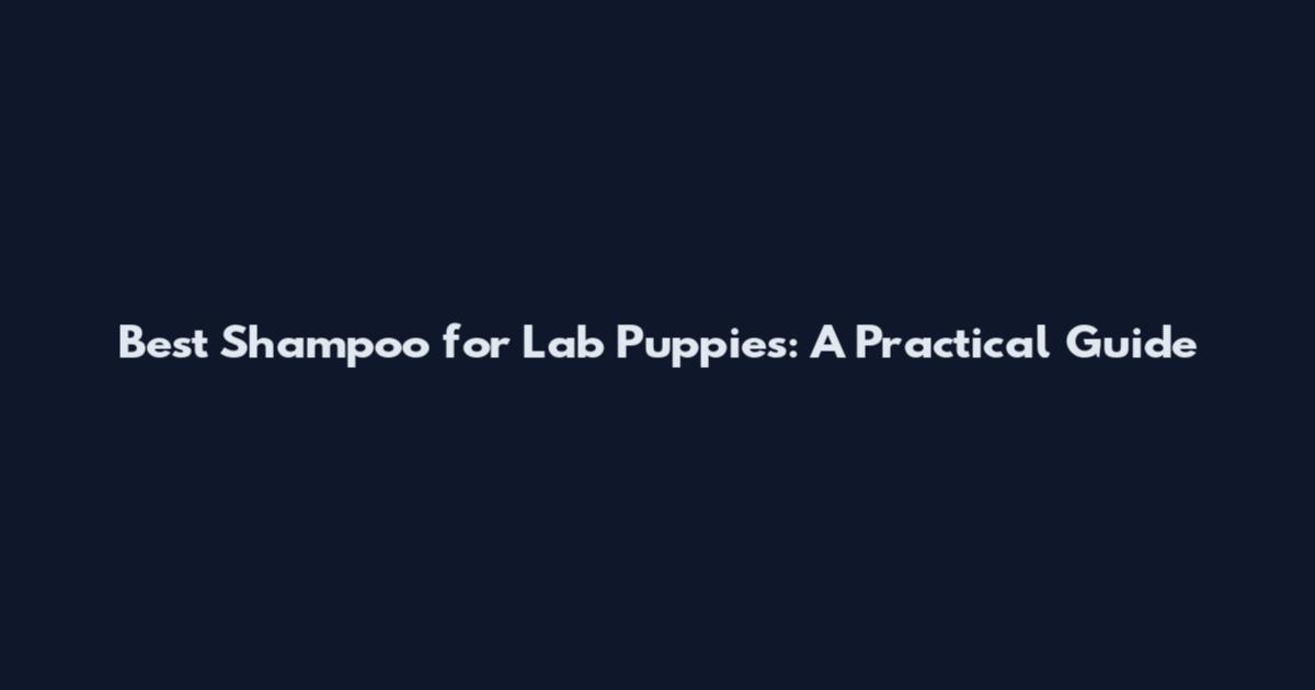 Best Shampoo for Lab Puppies: A Practical Guide